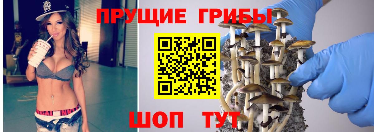 Галлюциногенные грибы мицелий  Галлюциногенные грибы MAGIC MUSHROOMS  цена   Вход с VPN  Каменск-Шахтинский 